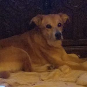 Meet your Posher, Cindy